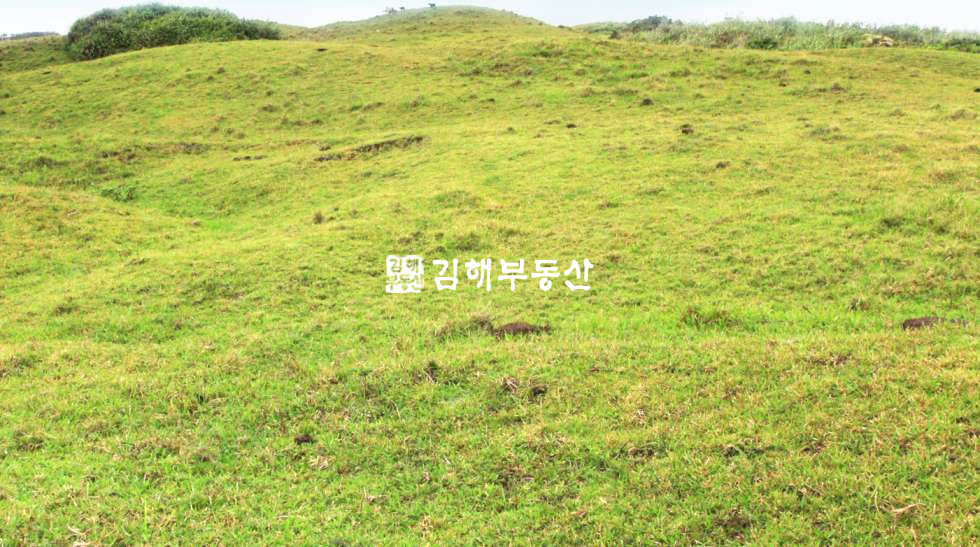 경남 거제시 거제면 법동리 거제도 산달도 - 전원 생활 추천 매매 매물번호 10233 사진 2