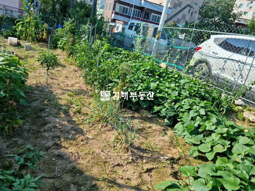 경남 김해시 대성동 대성동 단독주택 매매 매매 매물번호 10005 사진 3