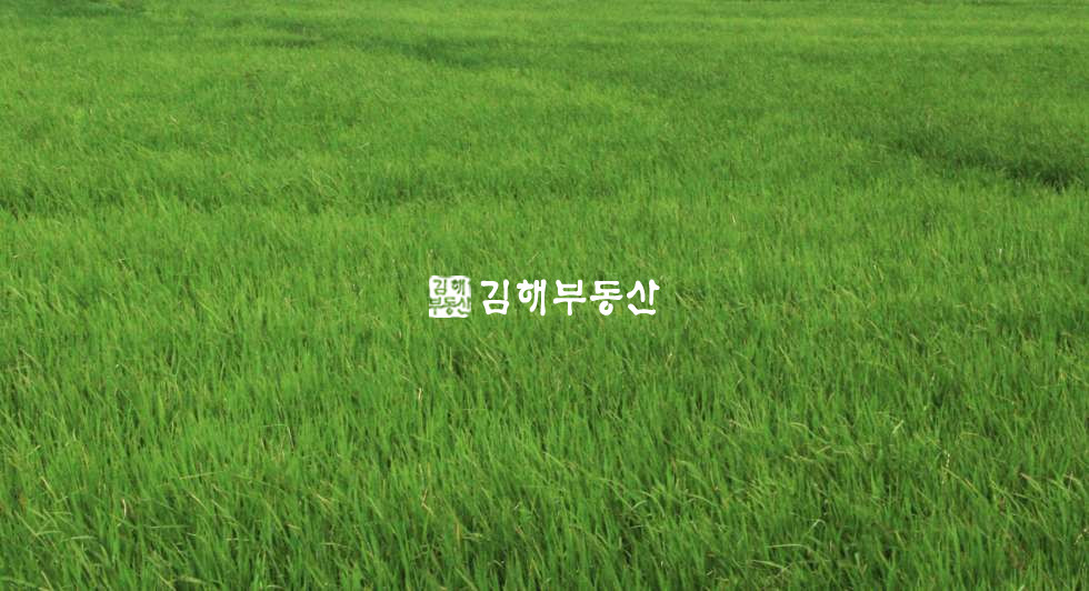 경남 김해시 주촌면 천곡리 주촌 답(전) 맹지, 제2종일반주거지역 매매 매매 매물번호 10543 사진 1