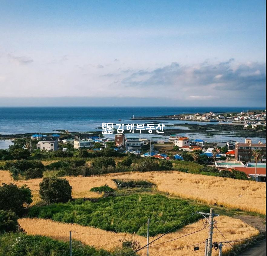 제주 서귀포시 안덕면 사계리 연 수익 1억 확정! 제주 사계리 프리미엄 숙박·오피스 복합시설 매매 매매 매물번호 10351 사진 1